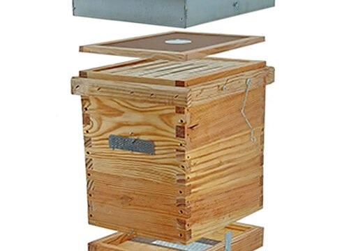 Layens-Ablegerkasten mit 6 Rähmchen
